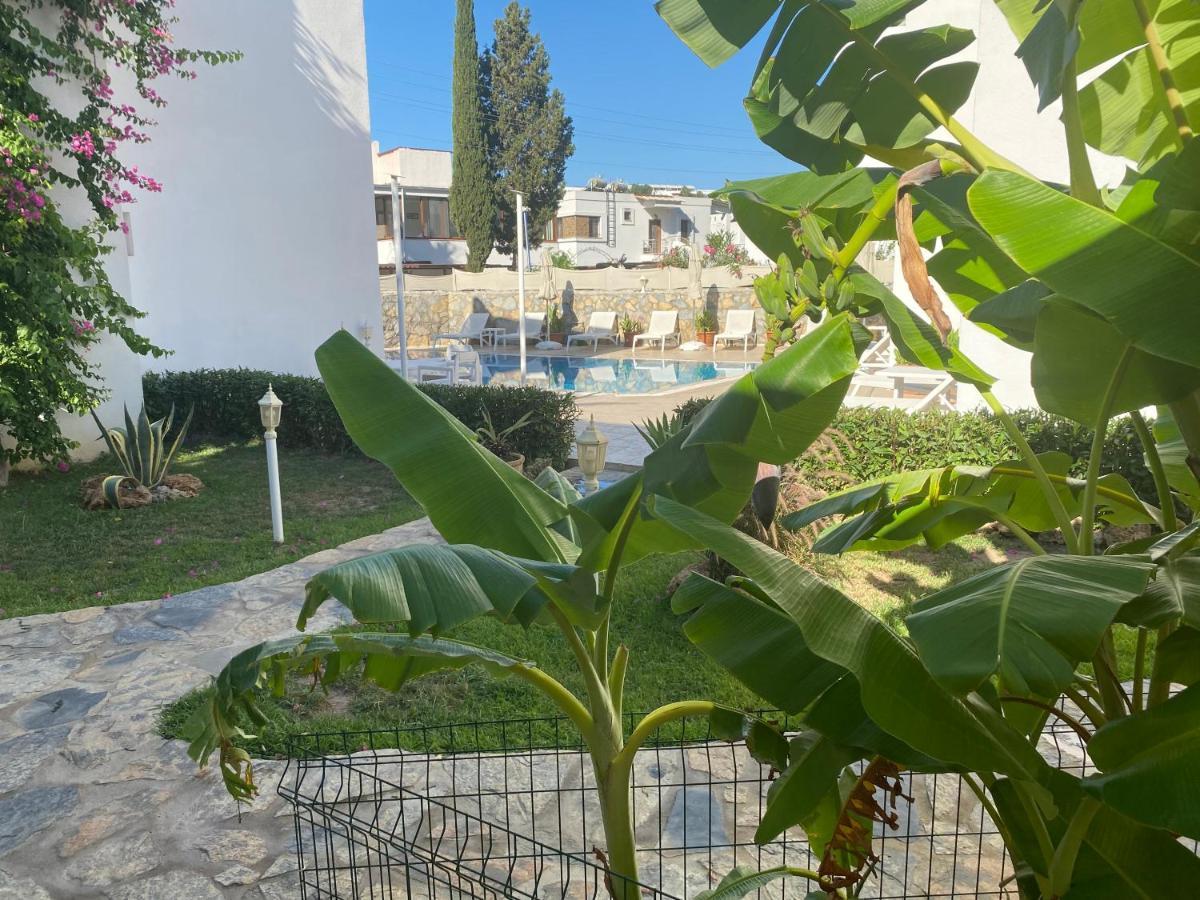 Canna Garden Hotel - Adult Only Гумбет Экстерьер фото