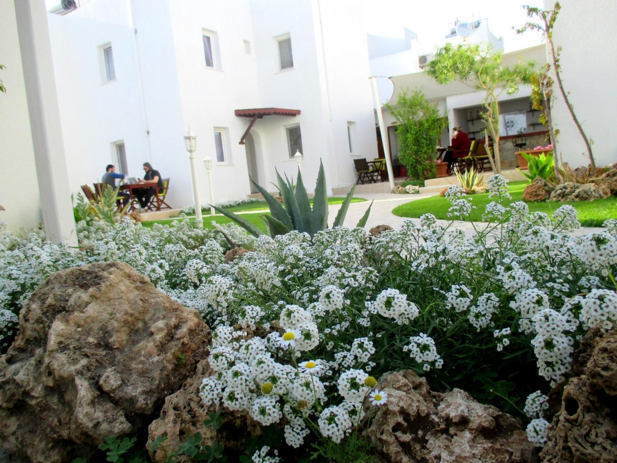Canna Garden Hotel - Adult Only Гумбет Экстерьер фото